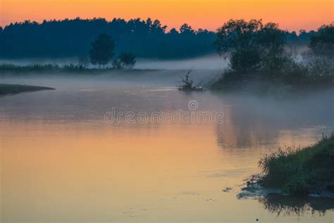 Evening Fog Under The Forest River At The Sunset Stock Image Image Of