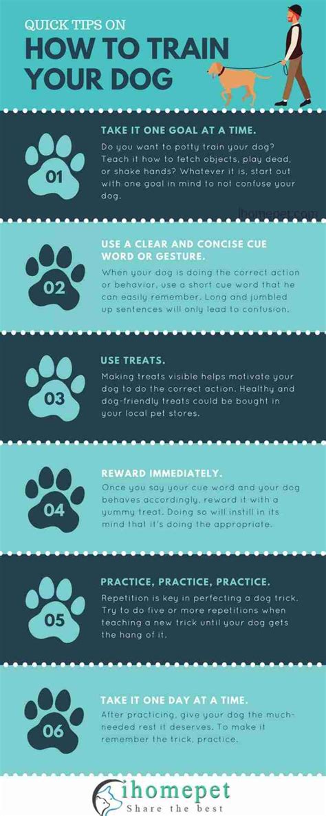 Infographic Quick Tips On How To Train Your Dog Ihome Pet