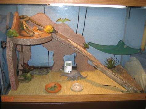 We did not find results for: homemade bearded dragon habitat - Google Search | Bearded Dragon Houses | Pinterest | Bearded ...