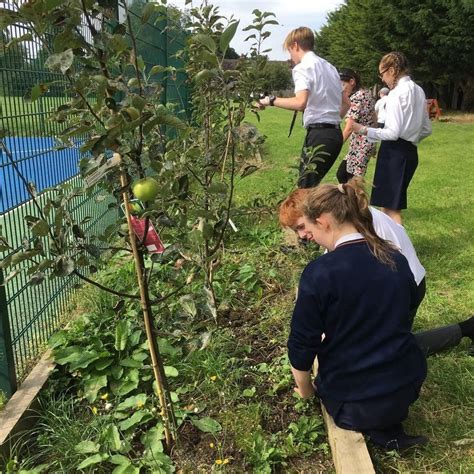 Green Schools Taking Over Tending The Bio Diversity Garden News