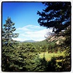 Beautiful Conifer, Colorado | Colorado, Colorado girl, Natural landmarks