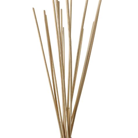 Reed Diffuser Sticks Pack Of 10 Essentially Natural
