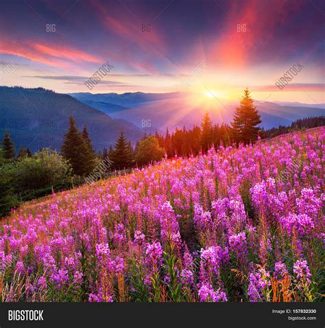 Colorful Summer Image And Photo Free Trial Bigstock