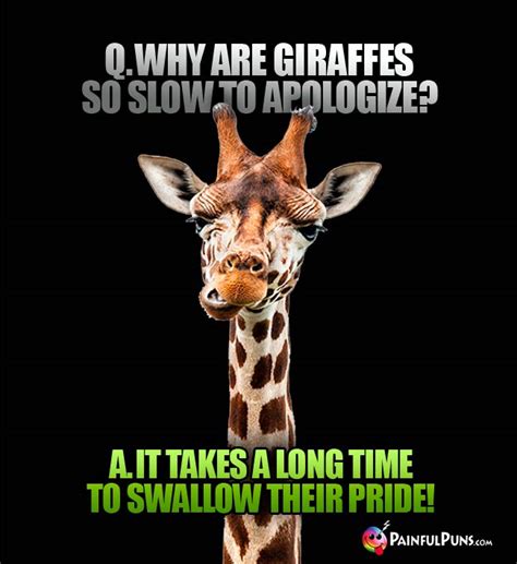 Giraffe Jokes Long Neck Puns Tall Animal Lols
