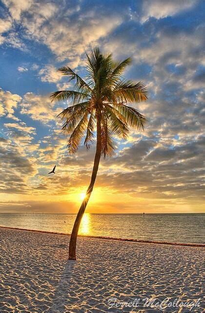 Key West Florida Sunrise On Smathers Beach In The Summer