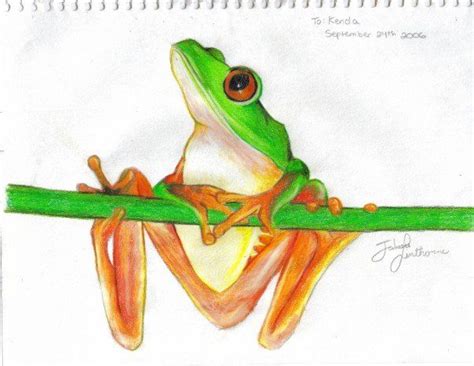 Pin By Ellen Bounds On Sketches Of Frogs Sketches Frog Animals