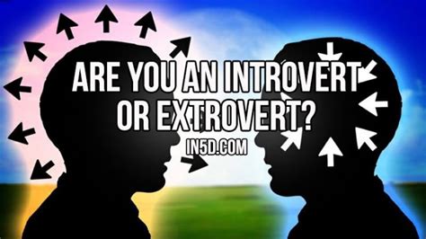 Are You An Extrovert Or Introvert In5d