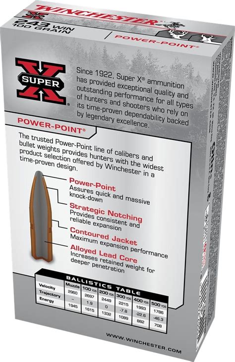 Winchester Super X 243 Winchester 100 Grain Power Point