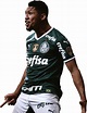 Rony Palmeiras football render - FootyRenders