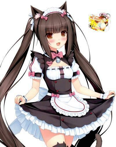 Neko Maid Wiki Anime Amino