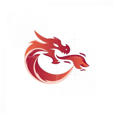 Dragon Fire Logo In 2021 Fire Dragon Dragon Logo Design