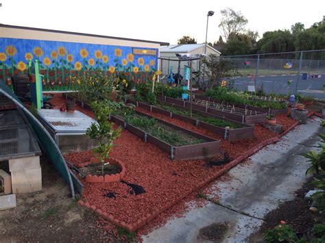 Raised Bed Gardens At The Lemon Avenue Elementary School In La Mesa