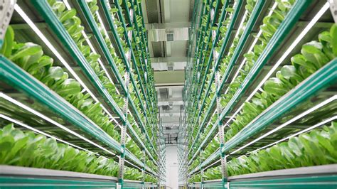 Vertical Farming Costs 2023 Setup And Operating Costs