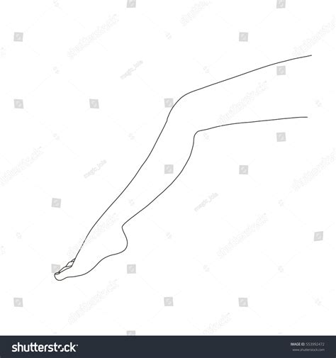 Nude Females Legs Line Drawing Illustration Stock Vector Royalty Free
