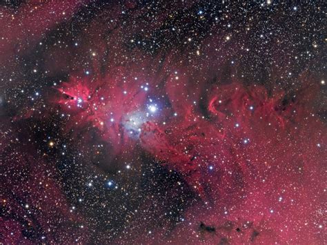 The Cone And Fox Fur Nebula Astronomy Magazine Interactive Star