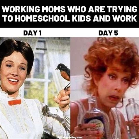 30 Funny Homeschool Memes And Remote Learning Humor Homeschool Mom