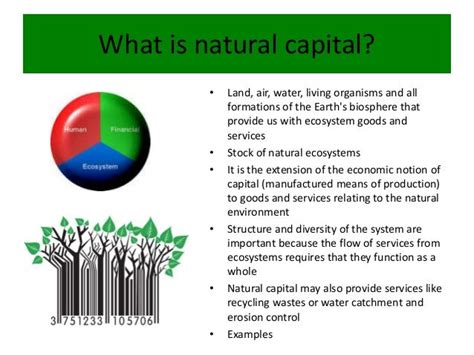 Why Invest In Natural Capital