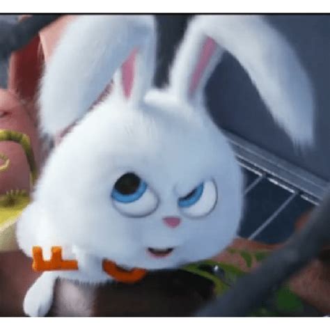 Snowball Rabbit 2 아기 동물 귀여운 만화 배경화면 귀여운 아기 동물