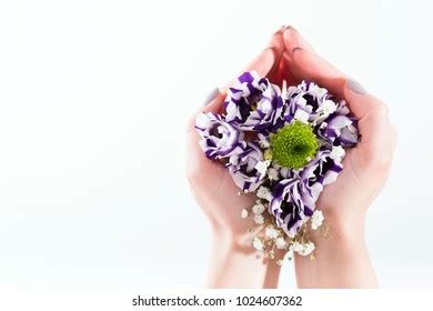 Hands Holding Tender Bouquet Purple Eustoma Stock Photo