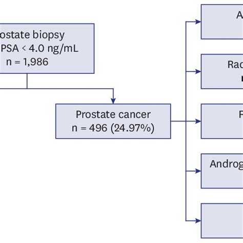 Flowchart Of Patients Who Underwent Prostate Biopsy 25 ≤ Psa