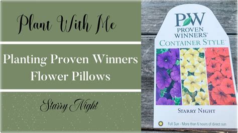 Plant With Meplanting Proven Winners Flower Pillowscontainer