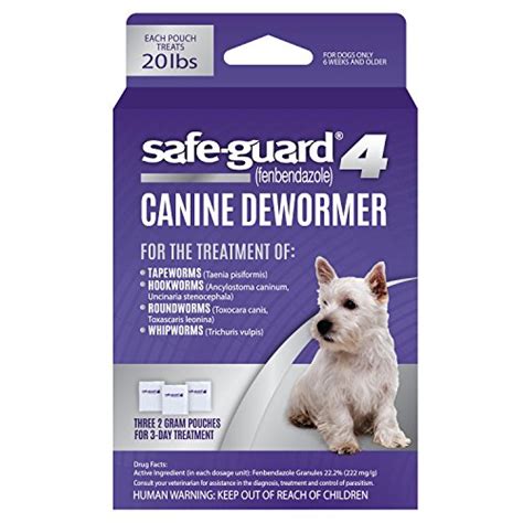 The Best Dog Dewormers Of 2021 Pet Life Today
