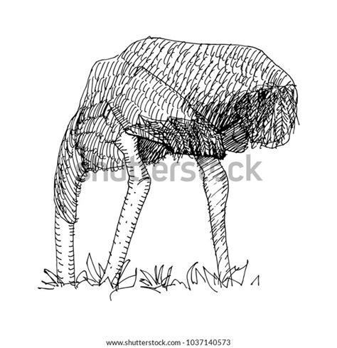 Drawing Ostrich Head Sand Stock Vector Royalty Free 1037140573
