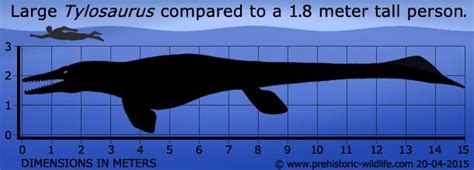 But there are dinosaurs that may be even more terrifying. Tylosaurus | Prehistoric wildlife, Prehistoric animals ...