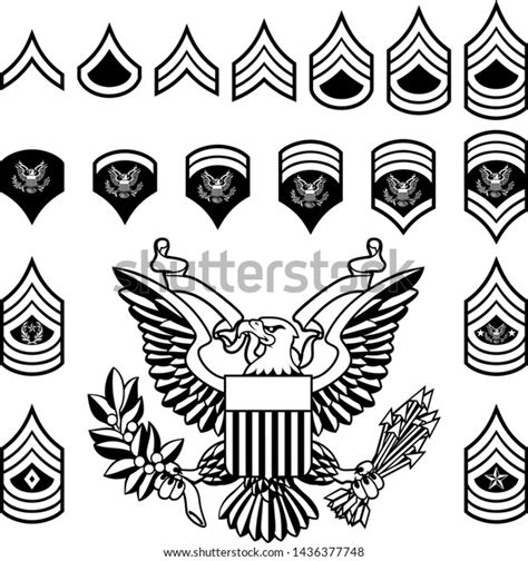 Set Military American Enlisted Army Ranks Stock Vector Royalty Free