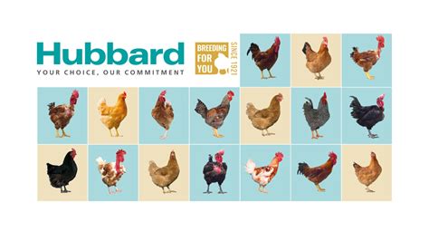 Hubbard Homepage