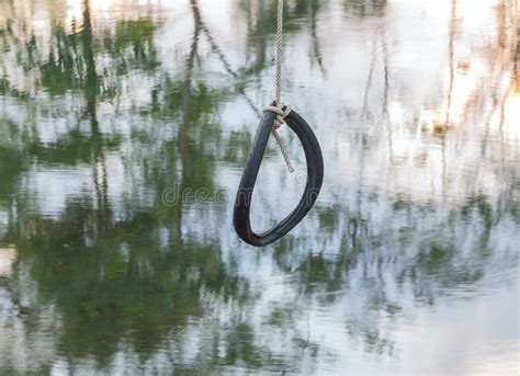 Tire Swing Hanging From A Tree Stock Photo Image Of Nature Green