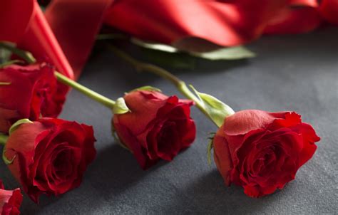 Love Pics Of Beautiful Red Roses Rehare