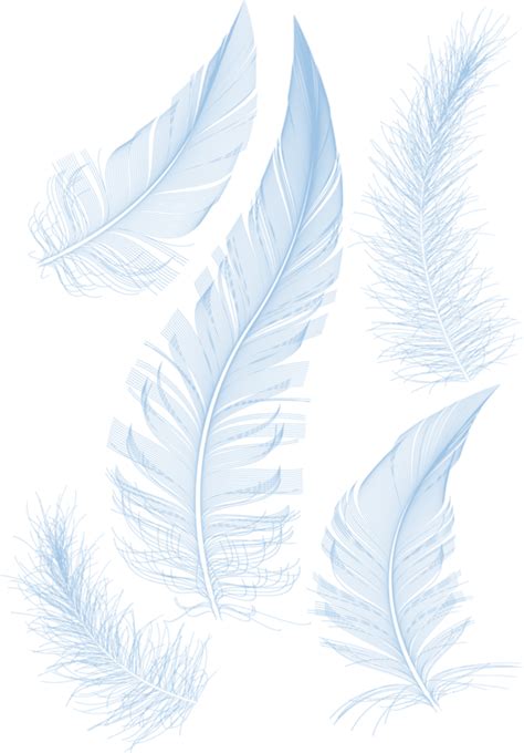 Download White Feathers Feather Hq Image Free Png Clipart Png Free