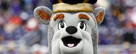 Why College Mascots Improve The Experience Olympus Mascots