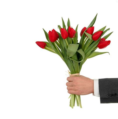 Koje Cveće Pokloniti Za 8 Mart Zenars