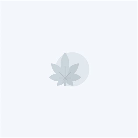 Blueberry Autoflower Cannabis Seeds Strain Profile Homegrown Diaries