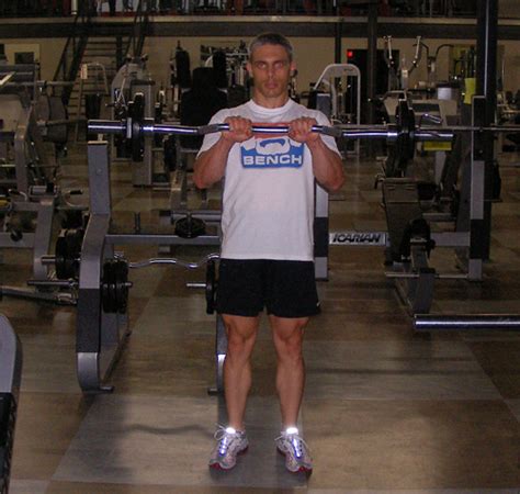 Reverse Forearm Curls Exercise