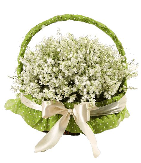 En france, la tradition veut que l'on offre du muguet, devenue la fleur emblématique de la paix, de l'amour et de la joie, en signe d'amitié. Muguet porte bonheur (1mai)