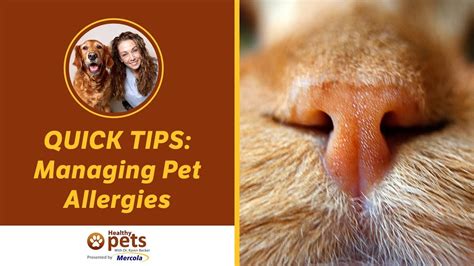 Quick Tips In Managing Pet Allergies Youtube
