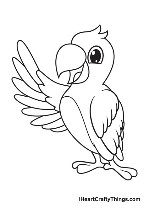 Parrot Drawing — How To Draw A Parrot Step By Step