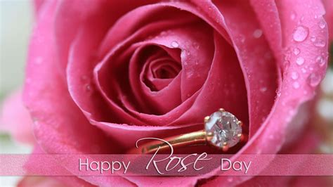 Please contact us if you want to publish a whatsapp wallpaper on our site. Rose Day Images for Whatsapp DP, Profile Wallpapers - Free ...