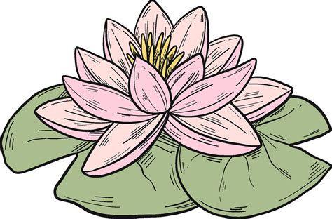 Sacred Lotus Clipart Full Size Clipart 5255589 Pinclipart