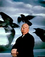 Foto de Alfred Hitchcock - Los pájaros : Foto Alfred Hitchcock ...
