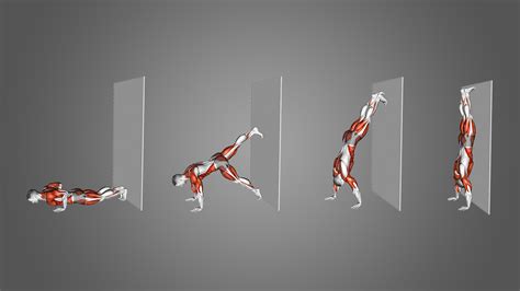 Wall Walk Alternatives How Target The Same Muscles Inspire Us