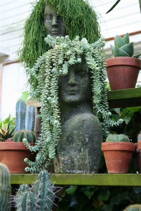 36 Best Succulents And Mannequins Images On Pinterest