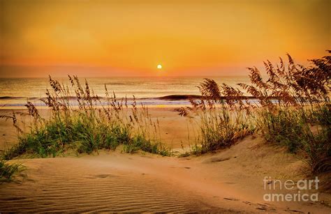 Outer Banks Sand Dune Sunrise Photograph By Dan Carmichael