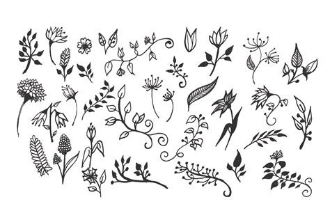 150 Hand Drawn Floral Illustrations By Design Bundles