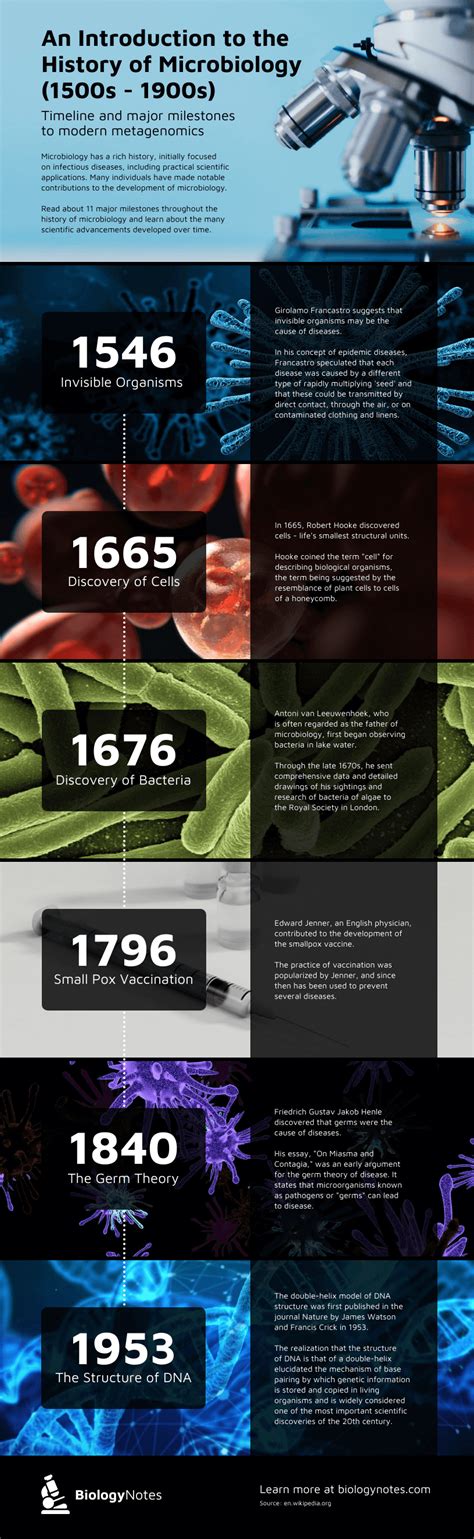 6 Microbiology Milestones Timeline Infographic Template Timeline