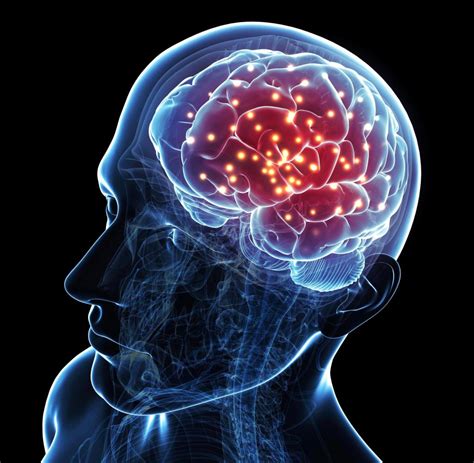Wie Viele Nervenzellen Hat Das Menschliche Gehirn Captions Quotes