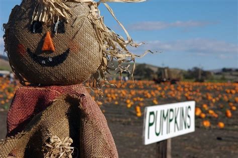 10 Wacky Festivals Celebrated In The Month Of October Amusing Planet